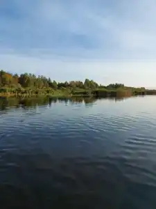 Домик на природе в СНТ Высоцкое - 18
