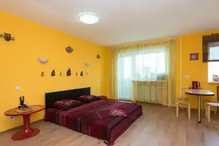 СелимВсех на Вайнера - 2