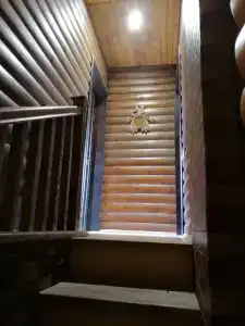 Васильки - 6