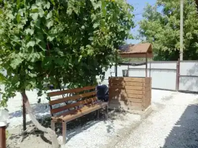 Герань