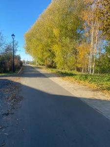 У Яблоньки - 4