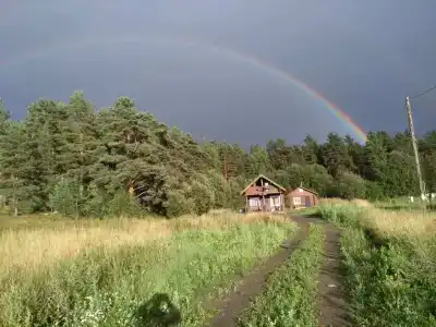 Озеро и лес - 2