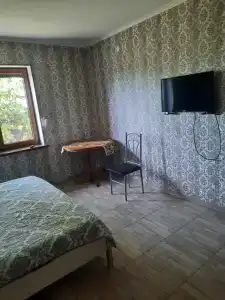 Отдых в пригороде Калининграда - 4