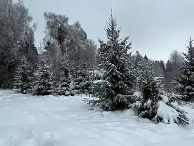 Родионцево Эко Деревня - 55