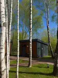 Дом, рыбалка. Вдохновение - 135