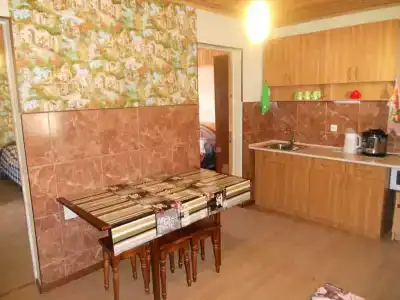 Феникс - 69