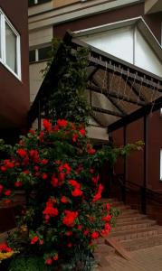 Apartment on Pritytskogo - 43