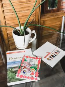 Esenin LOFT Панорамный вид на город - 11