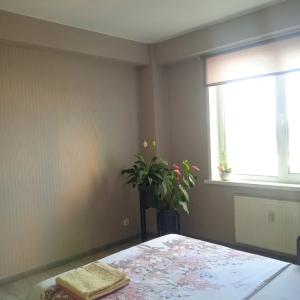 Квартиры на имени Татьяны Барамзиной 5А - 32