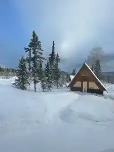 ОлинГеш - 141