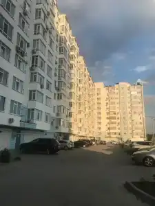 Маргарита - 10