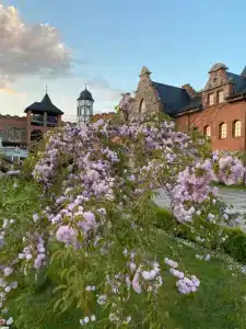 Квартиры на Гагарина 11 - 67