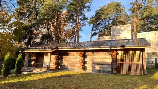 Эко дом из окаменевшей сосны-кело - 26