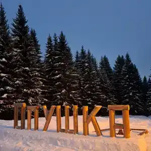 Опушка. Дом среди деревьев - 33