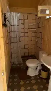 Пальма - 27