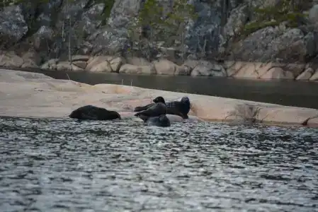 Уютный дом в сердце Ладоги - 32