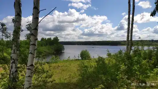 Гостевой дом - 42