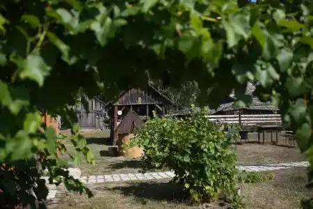 Пралеска - 19