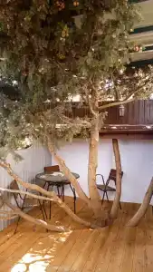 Гостевой дом на Шулейкина 18 - 213
