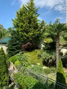 Вилла с апартаментами на Курортном проспекте - 34