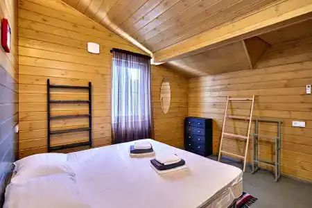 Ботаники - 229