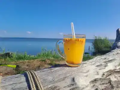 Дачная отмель - 24