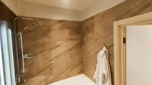 Родина Аэро - 85