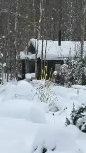 Домик в лесу с баней в Есинке - 21