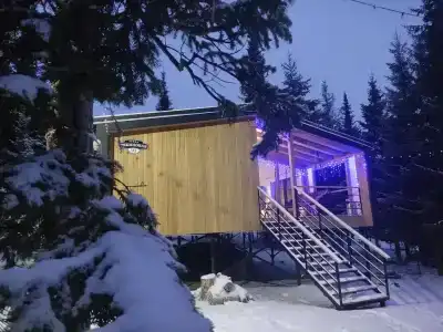 Уютный гостевой дом с видом на лес - 1