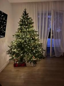 Дом в сосновом лесу - 0