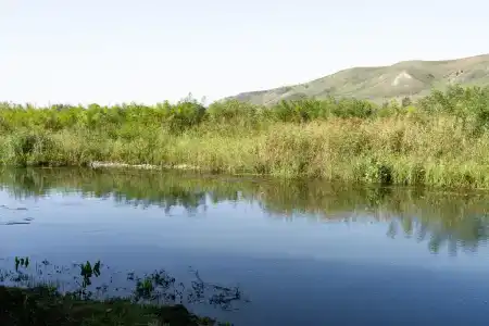 Загородный дом у озера Бекан - 18