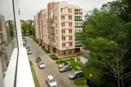 Балтийские сосны - 10