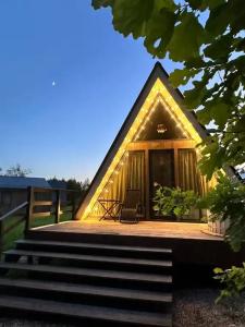 Хвойный Лес - 101