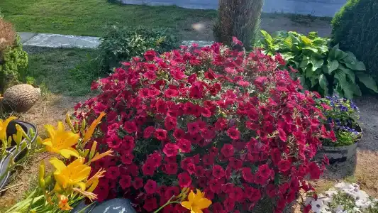 Дом для отдыха - 70