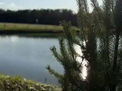 Кромбас - 256