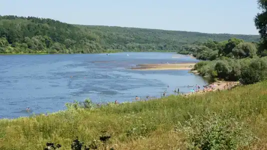 Дом Альпийский и Шале в Тарусе - 48