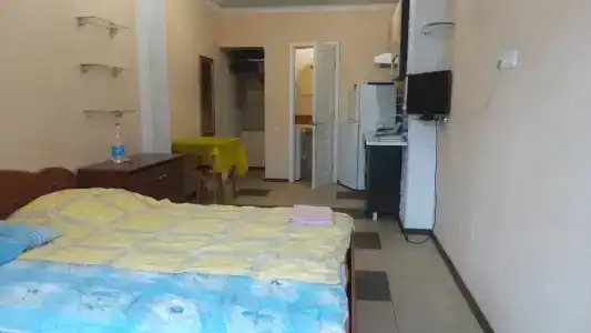 Studio-on Kurchatova 14 - 6