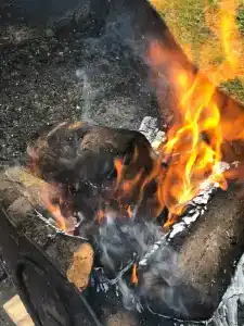 Царское село - 44