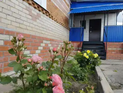 Эксклюзив - 1