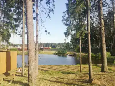 Уютный лесной домик на берегу ручья - 18