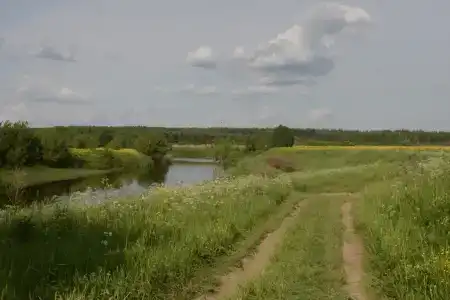 Шартруз Красное - сад, веранда и баня - 69