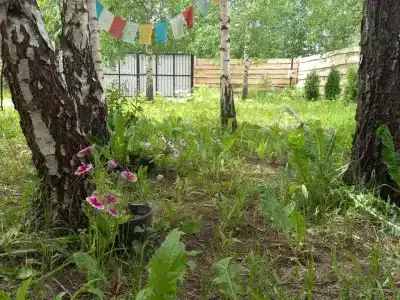Уютный треугольный домик - 8