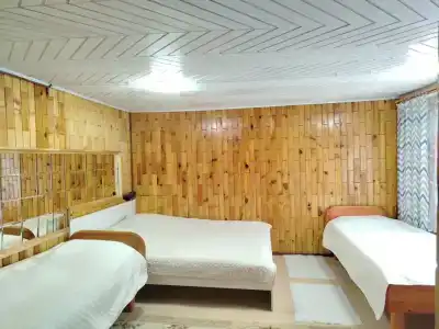 Глубинка Алтая. Дом с Камином на берегу реки - 19
