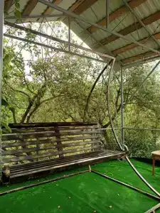 Гусь хрустальный - 9