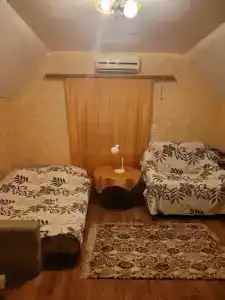 Уютный индивидуальный гостевой домик - 1