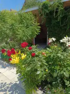 Отдых у моря - 59