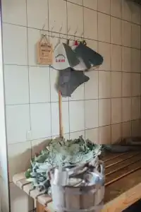 Васильки - 10