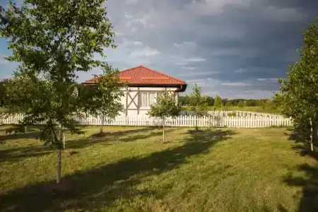 Деревня Григорьевка - 113
