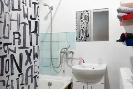 Латина у Исаакиевского Собора - 11