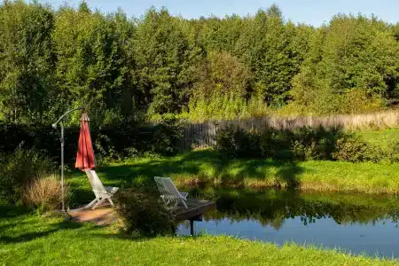 Боровики - 60